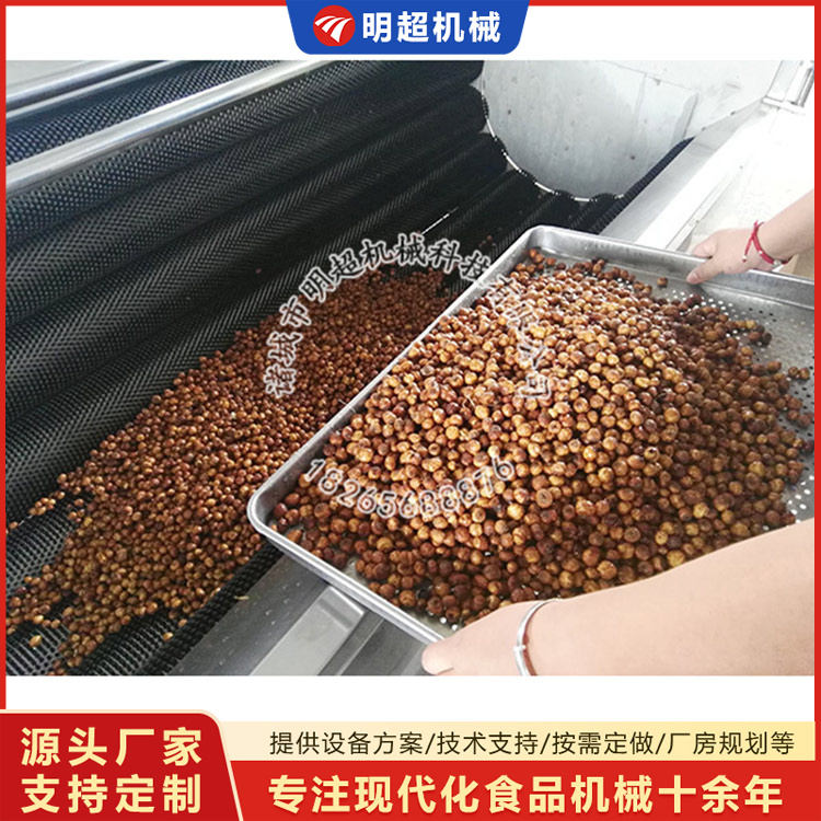 毛辊去泥沙清洗机