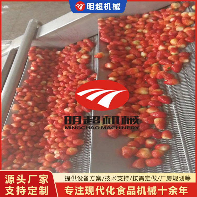 草莓清洗机