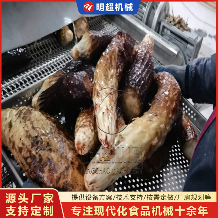 肉苁蓉清洗机
