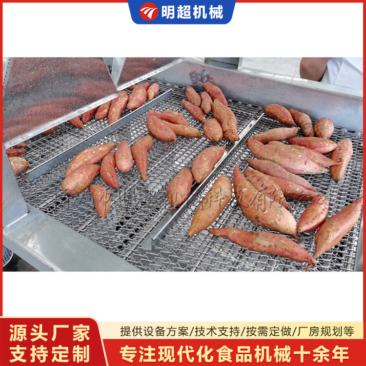 红薯清洗机-球茎类泥沙清洗乐竞体育_乐竞lejing(中国)
