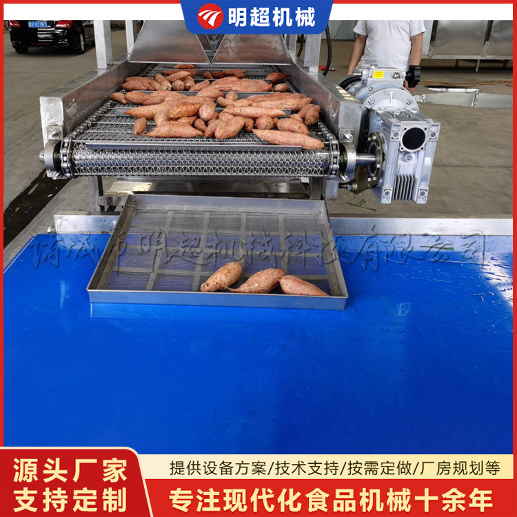 红薯清洗机-球茎类泥沙清洗乐竞体育_乐竞lejing(中国)
