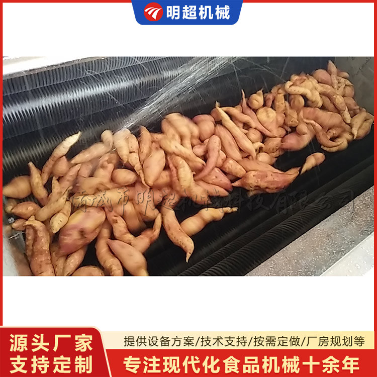 红薯清洗机-球茎类泥沙清洗乐竞体育_乐竞lejing(中国)
