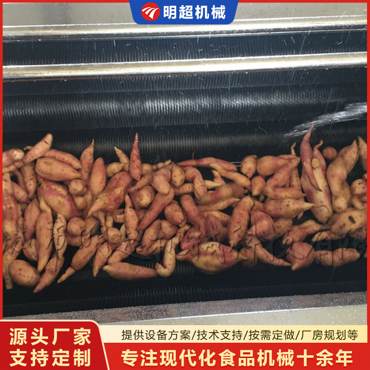 红薯清洗机-球茎类泥沙清洗乐竞体育_乐竞lejing(中国)
