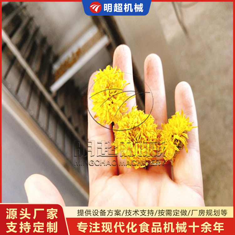 菊花烘干机