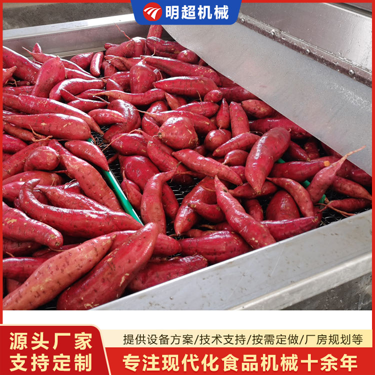 红薯愈合糖化乐竞体育_乐竞lejing(中国)
